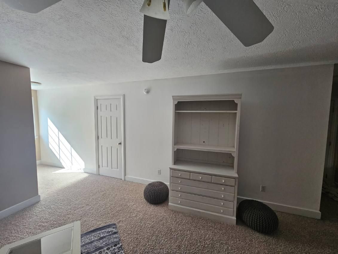 Freedom Painting project